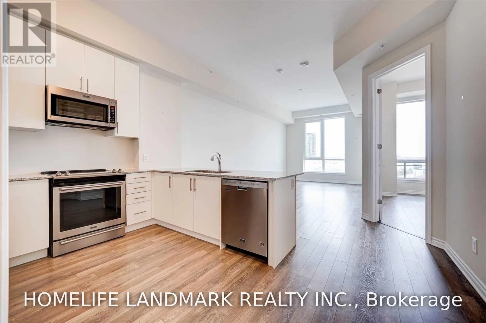 Kitchen and living area